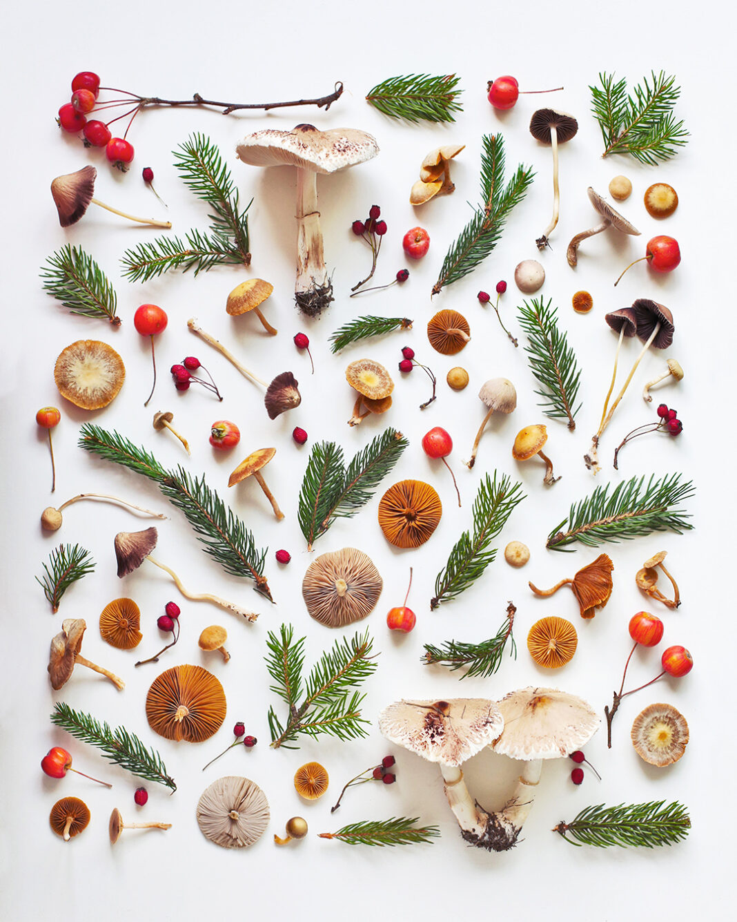 Cele 25 de compoziții #AranjateDeLiana x #InspiratiePentruDecembrie din 2025