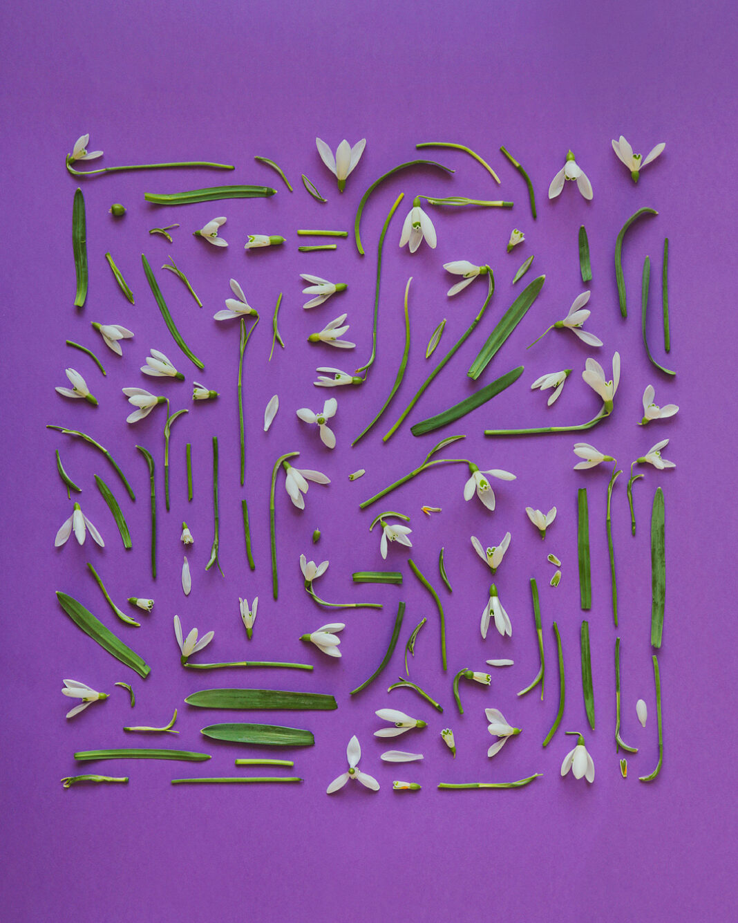 Buchete de flori #AranjateDeLiana