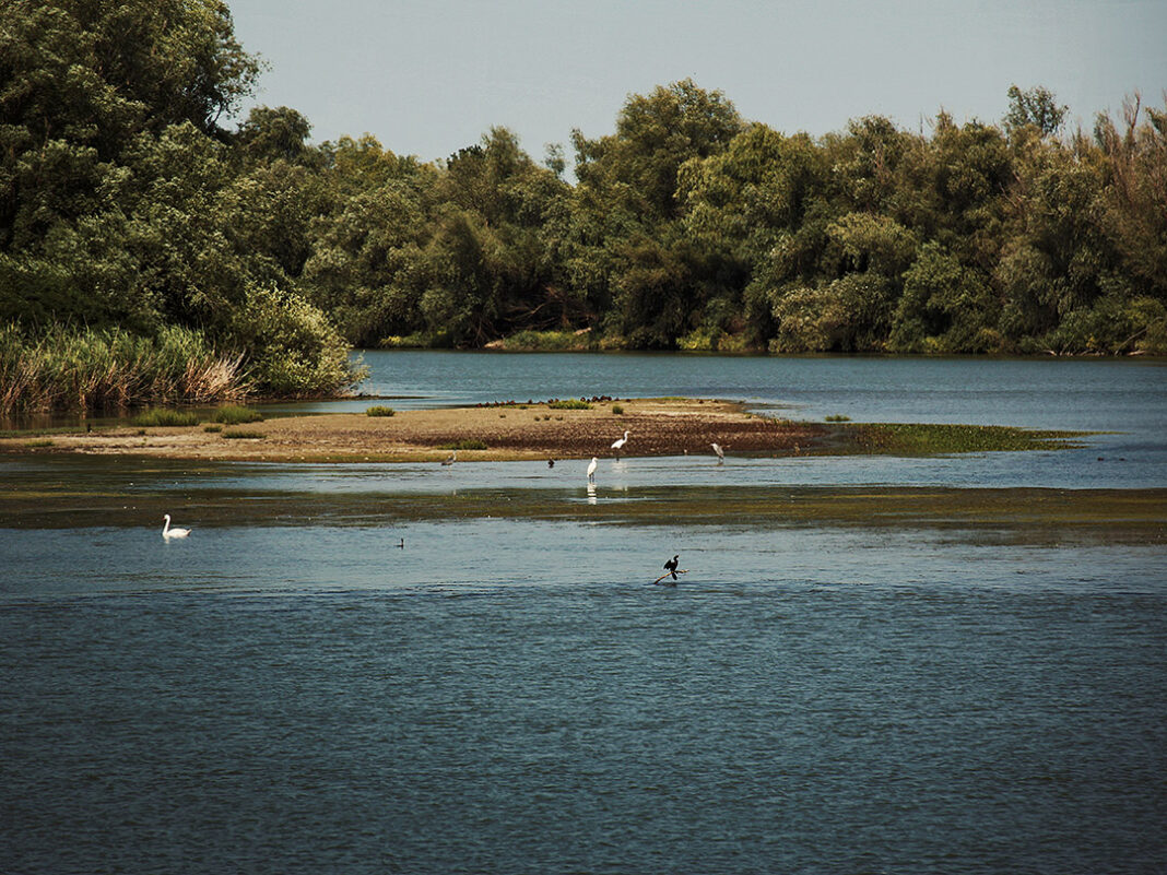 Magica Deltă a Dunării – despre zilele petrecute vara aceasta la Sulina și la Sfântu Gheorghe