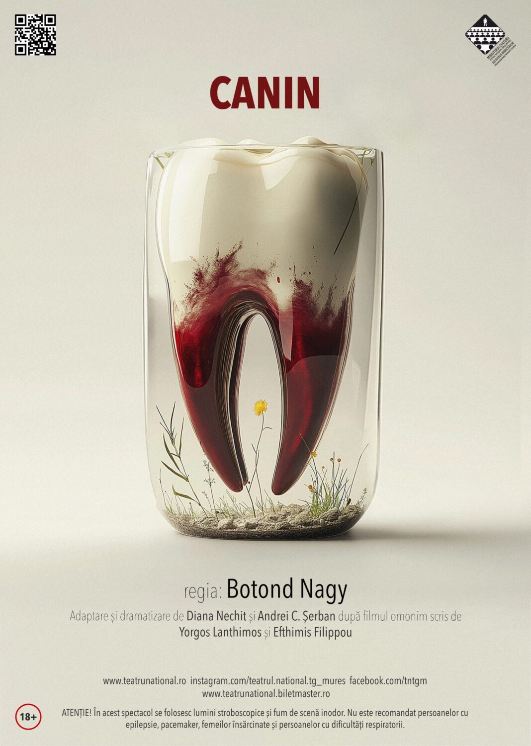 Anca Șugar: Libertatea dincolo de gard – Canin la Intact, Târgu Mureș, 2026