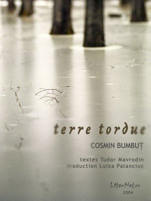 Terre tordue, de Cosmin Bumbuț, Tudor Mavrodin