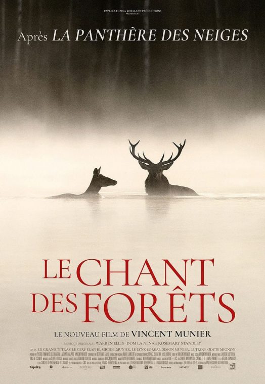 Ioana Clara Enescu: Pădurea care ne privește – Le chant des forêts / Cântecul pădurii la Alpin Film Festival, 2026