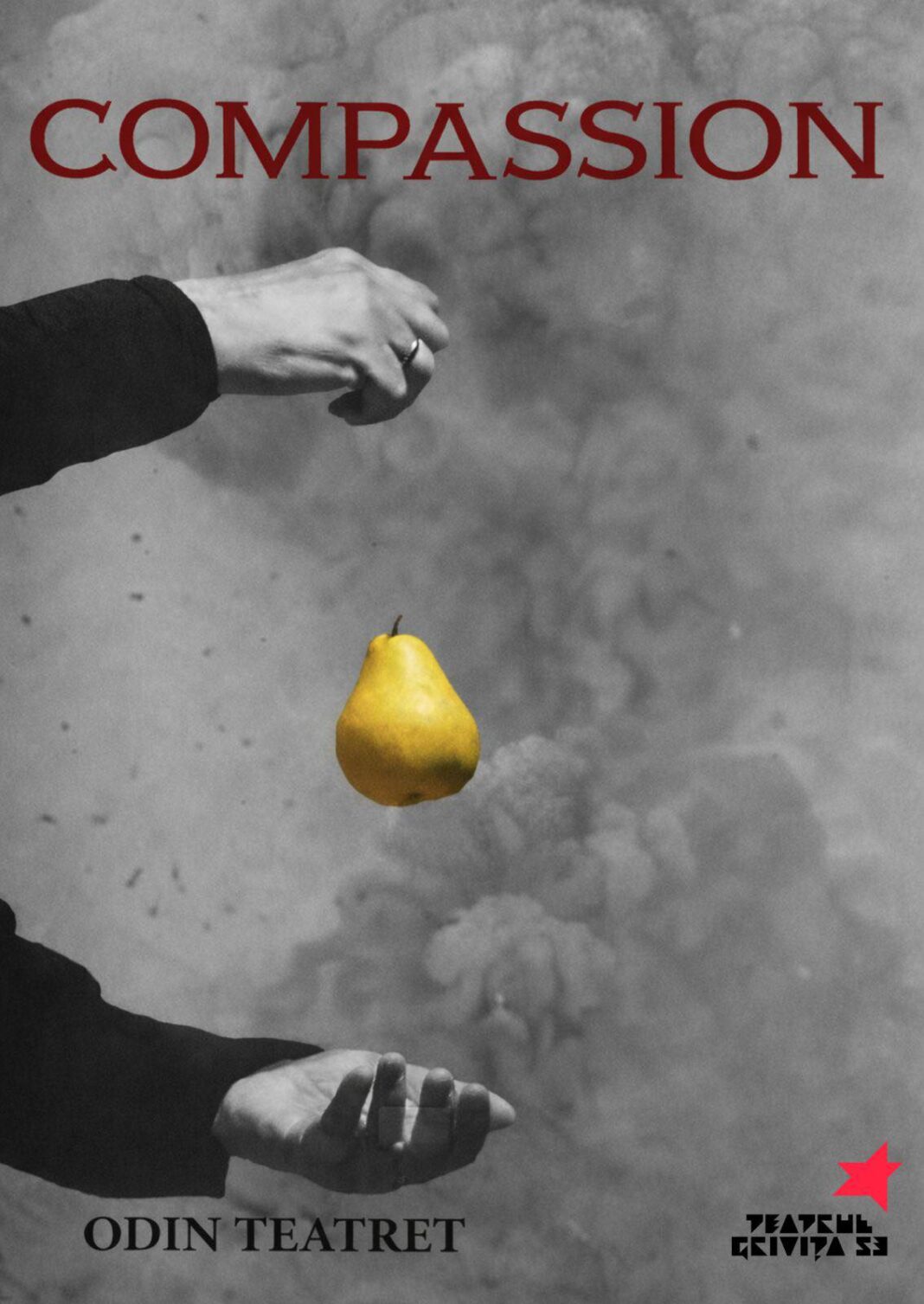 Monica Ciurea: Poate vom face păsările să se-ntoarcă?… – Compassion