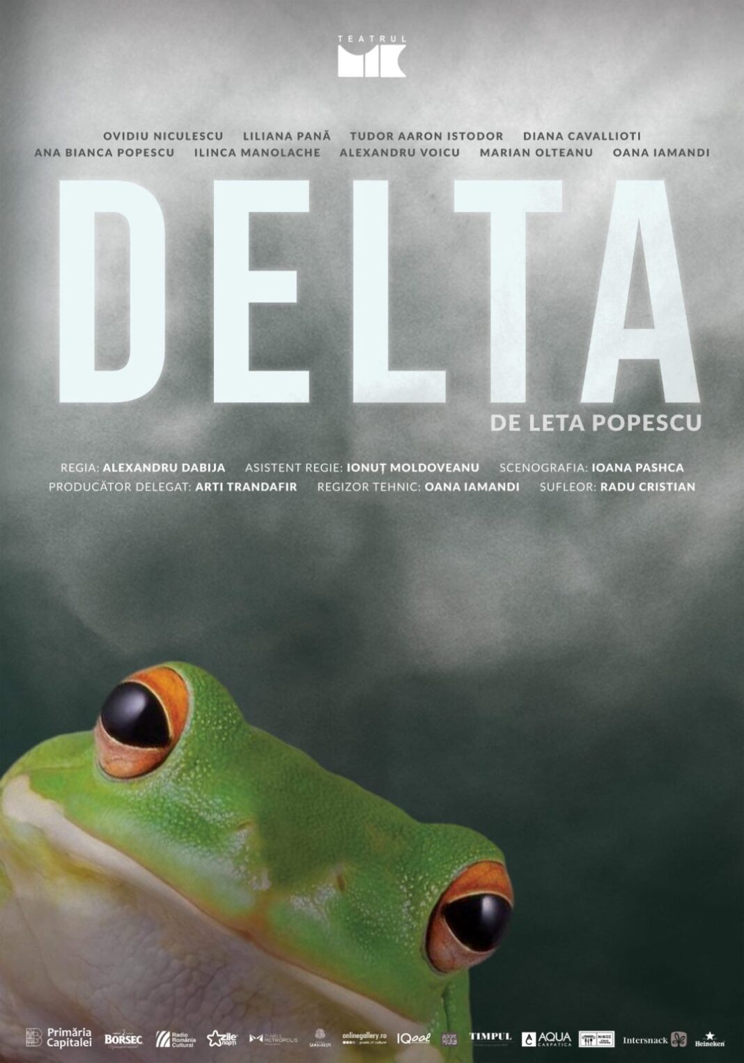 Alina Mariana Maer: Bâlciul și / sau barca deșertăciunilor – Delta