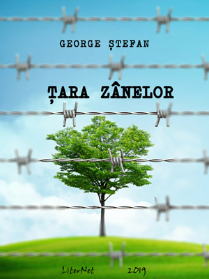 Ţara Zânelor, de George Ștefan