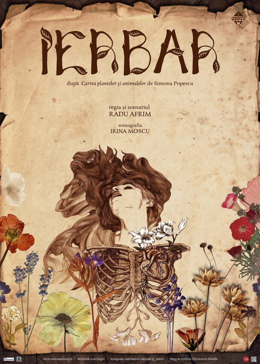 Maria Ladaru: Spectacolul-seră: un ecosistem al umanului – Ierbar