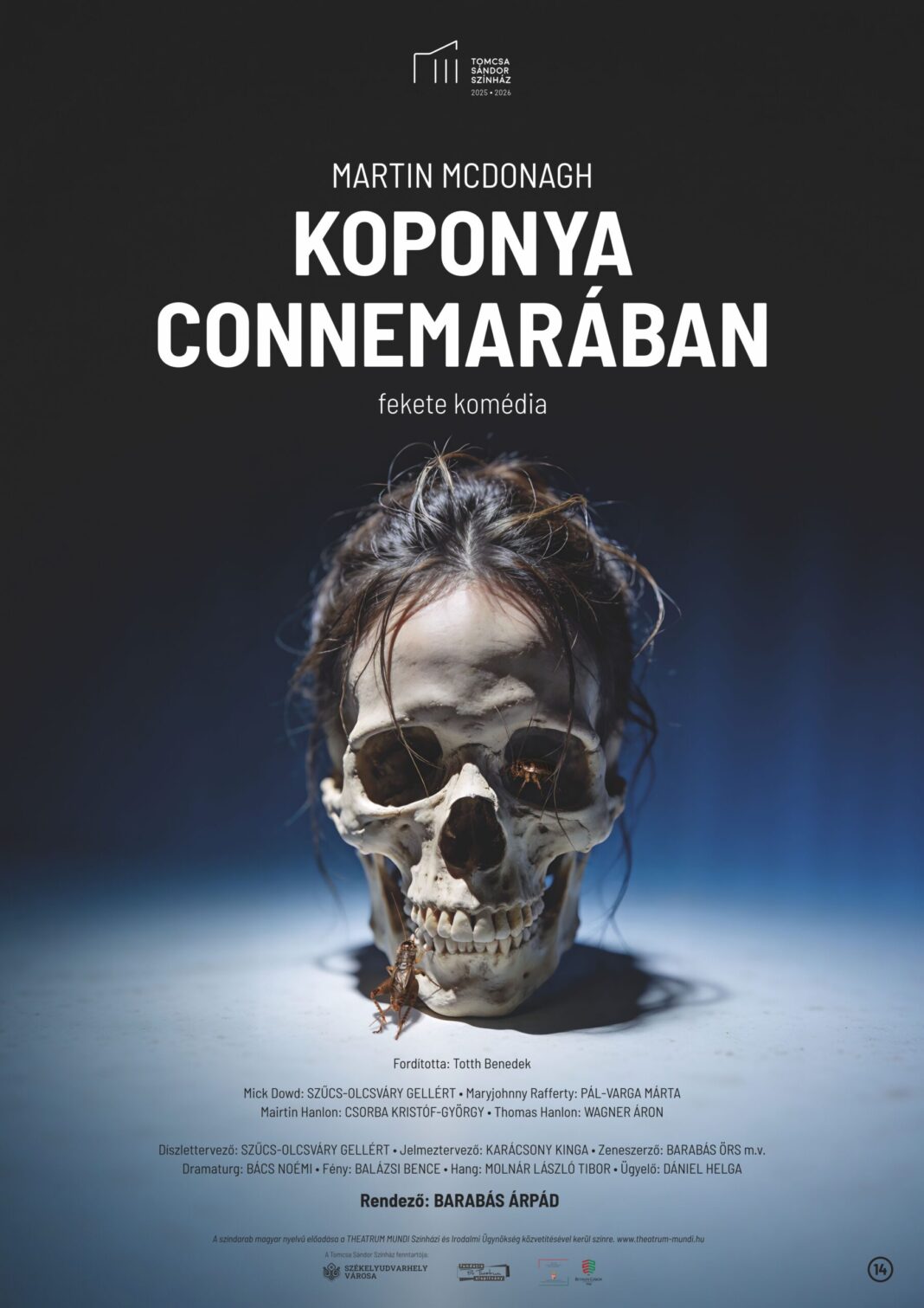 Anca Șugar: Vinovăție, os și cenușă – Koponya Connemarában / Craniu în Connemara