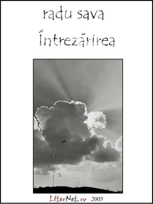 Întrezărirea, de Radu Sava