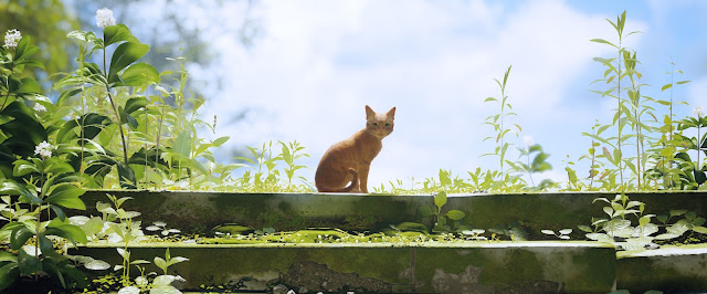 Fapte amuzante și fascinante despre jocul de aventură pisicesc – STRAY