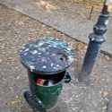 Parcul Cișmigiu a fost acoperit, din nou, de găinaț