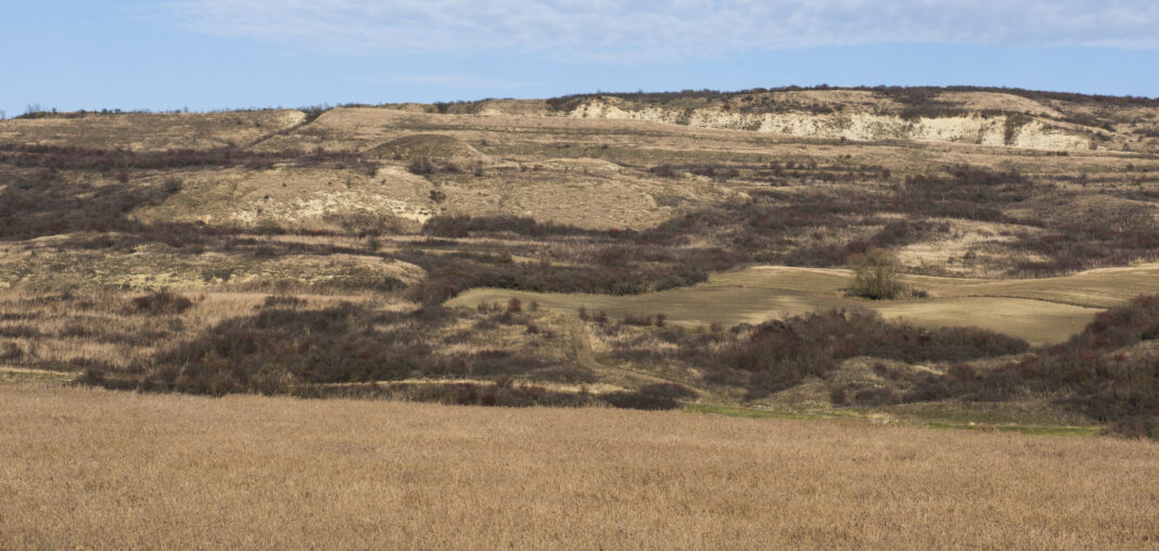 Situl Natura 2000 ROSCI0410 – Fânațele de la Sucutard