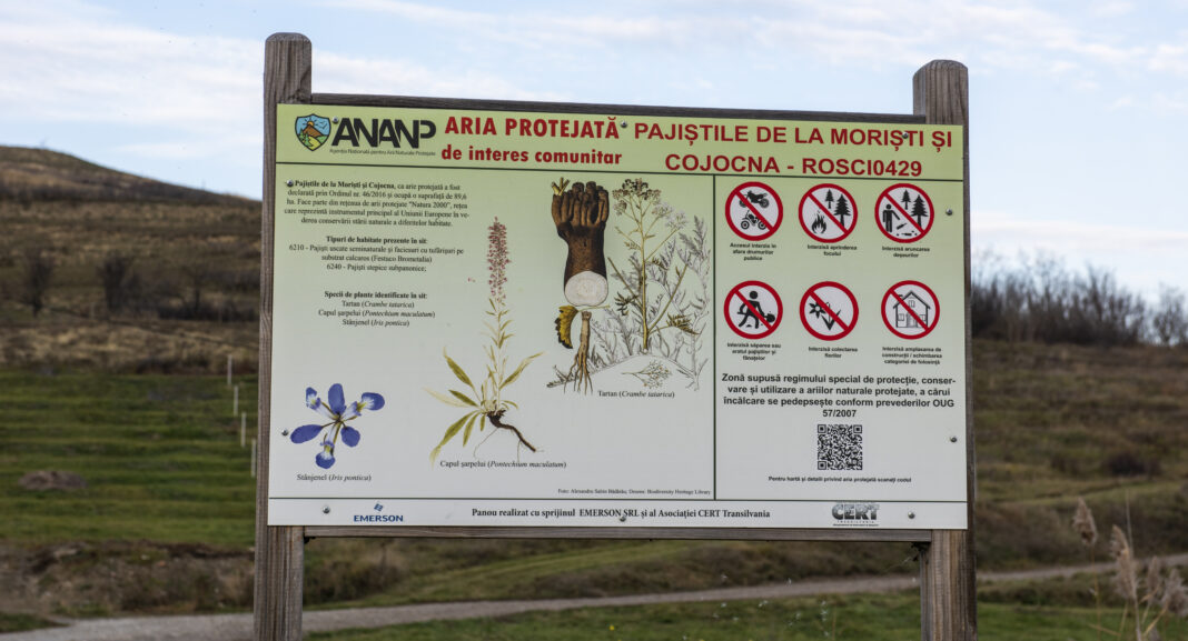 Situl Natura 2000 ROSCI0429 – Pajiștile de la Moriști și Cojocna