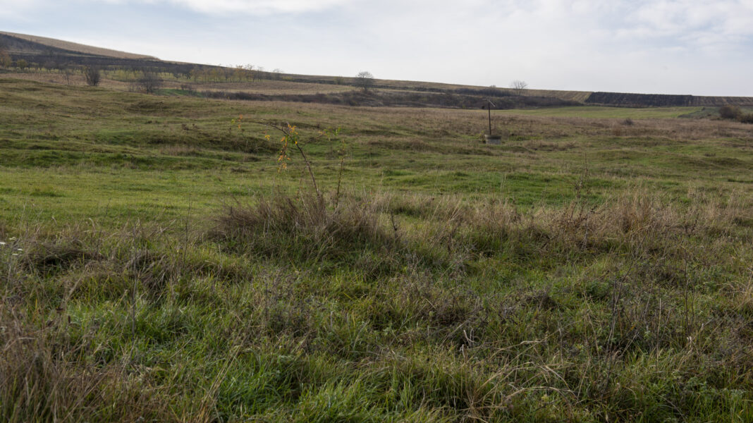 Situl Natura 2000 ROSCI0301 – Bogata