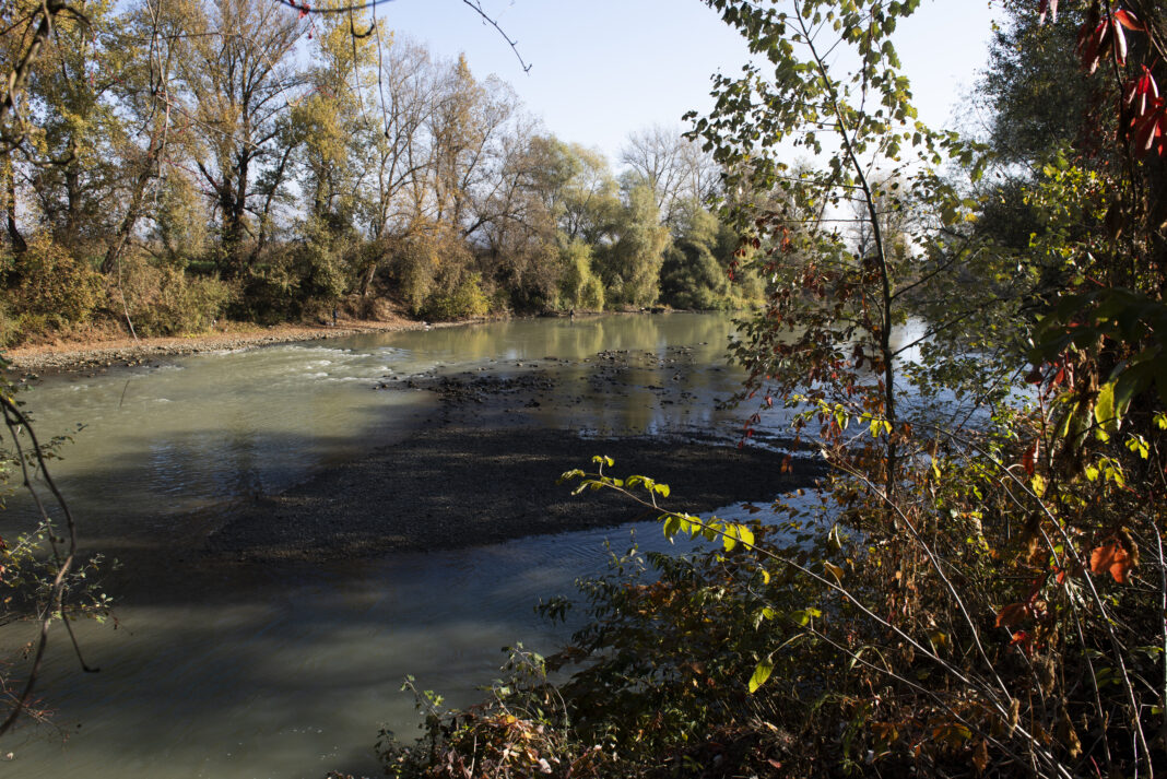 Râul Someș aval de Dej