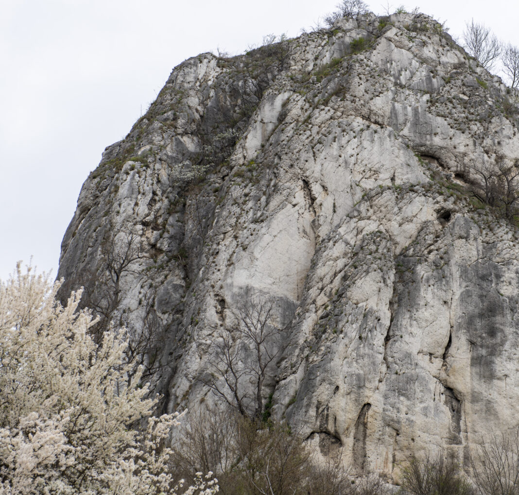 Rezervația naturală Calcarele de la Ampoița