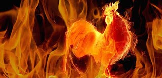 firerooster-blog-banner.jpg