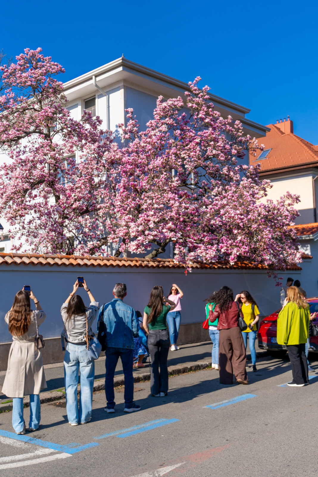 As I found them (day 17325)