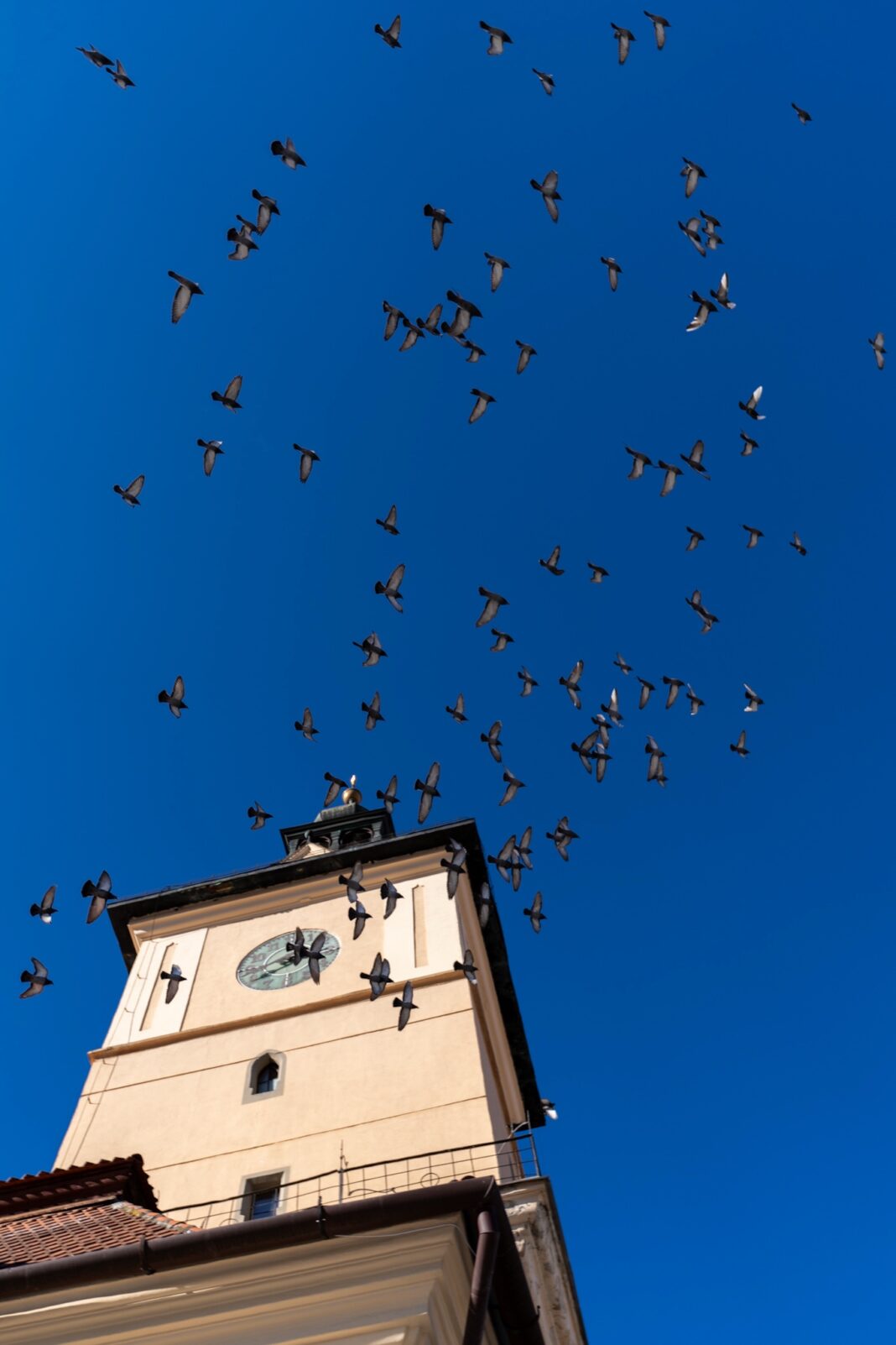 As I found it in Brasov, Romania (day 17272)