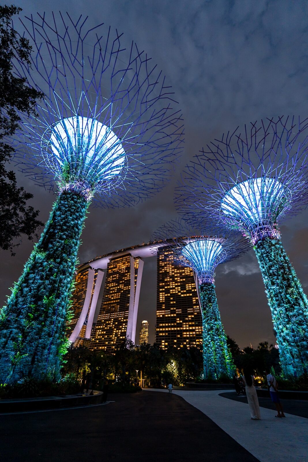 Sometimes I like to make my own postcards (day 17235)