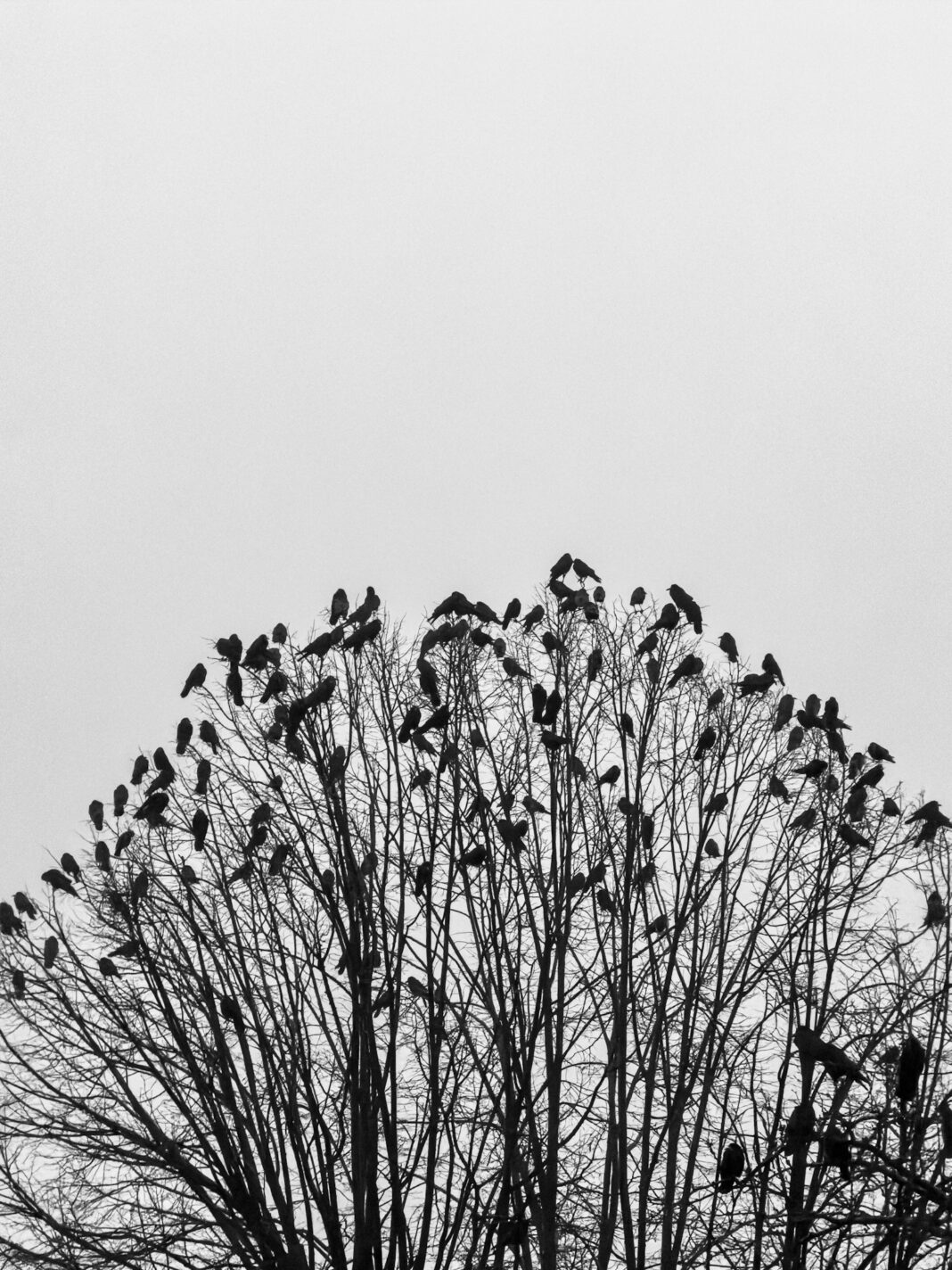 As I found it (day 17257)