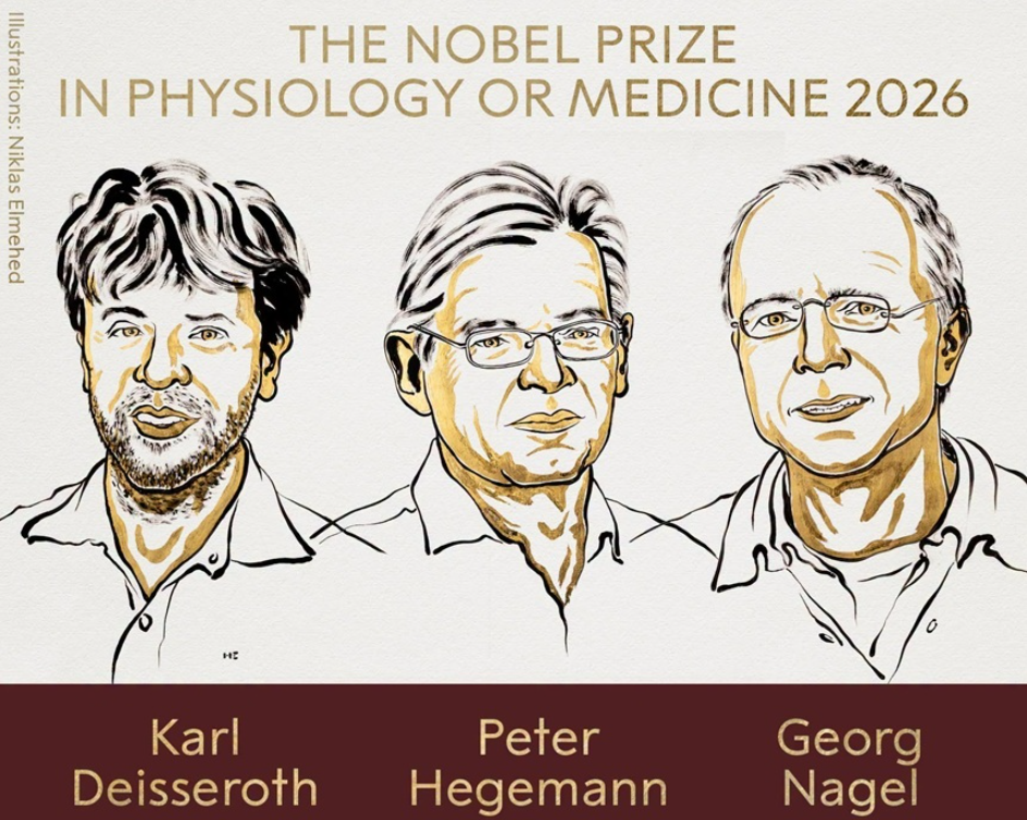 Premiul Nobel pentru Medicină a fost acordat cercetătorilor Karl Deisseroth, Peter Hegemann și Georg Nagel, pentru descoperirile care au dus la dezvoltarea optogeneticii, o metodă care permite controlarea activității anumitor celule nervoase cu ajutorul luminii.