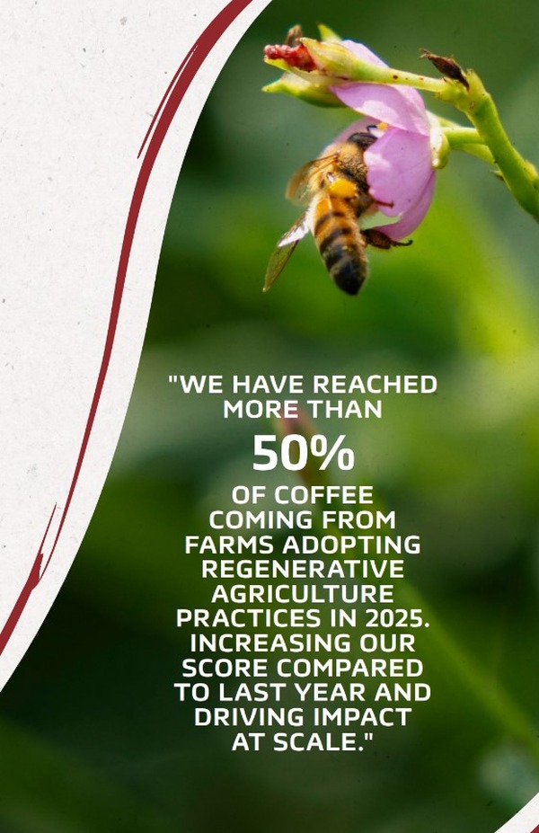 În anul 2025, NESCAFÉ a achiziționat peste 50% din cafeaua sa de la fermieri care adoptă practici de agricultură regenerativă