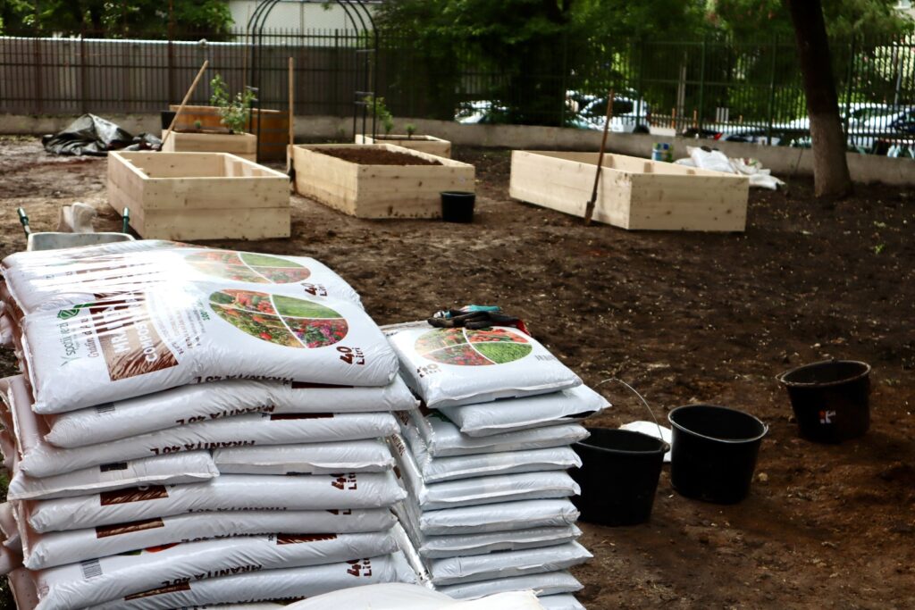 PENNY sprijină proiecte de biodiversitate urbană prin Runda IV a Platformei de mediu pentru București