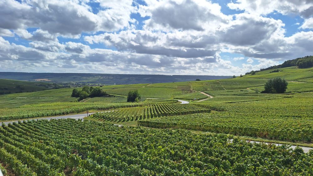 Vacanța 2025 – Champagne, încoronări, arderi pe rug, războaie și debarcări (I)