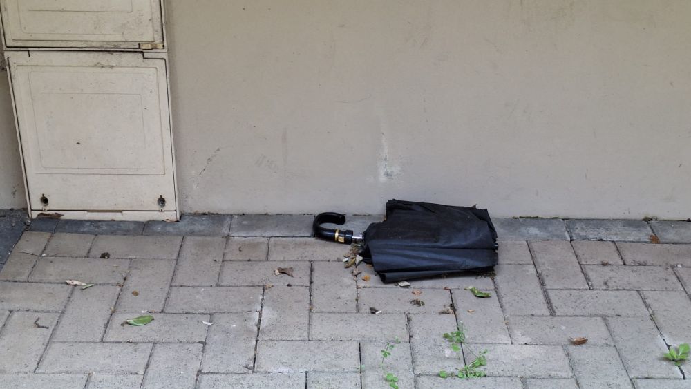 Ce-am găsit să fie al meu