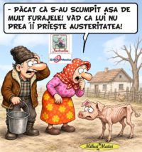 AUSTERITATE