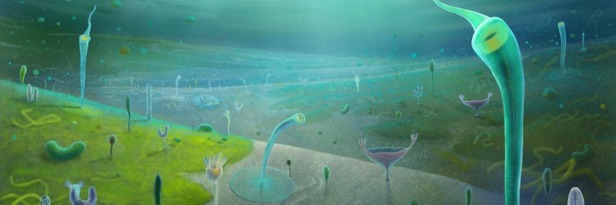 Cei mai apropiați strămoși nevertebrați ai oamenilor datează mult mai devreme decât se credea