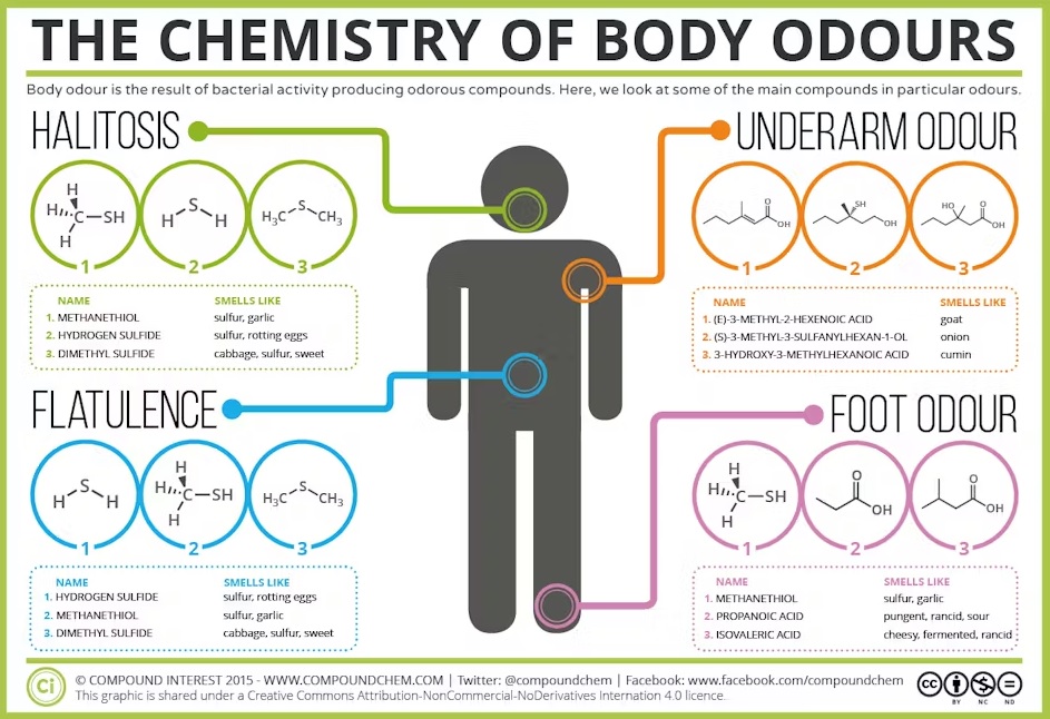 Care este diferența dintre deodorant și antiperspirant?