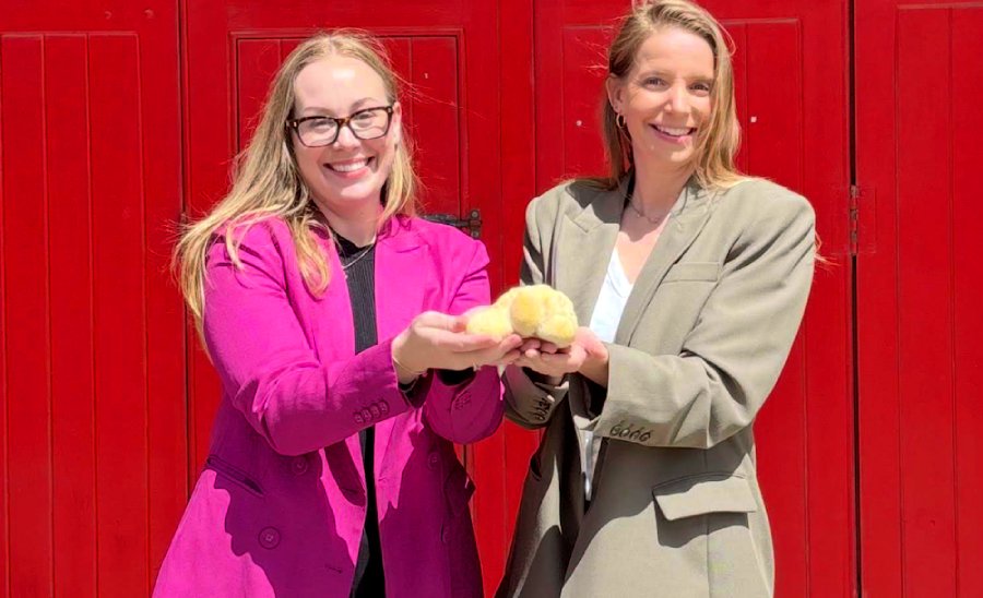 „Am mâncat ciuperci din spațiu și am supraviețuit ca să povestim”