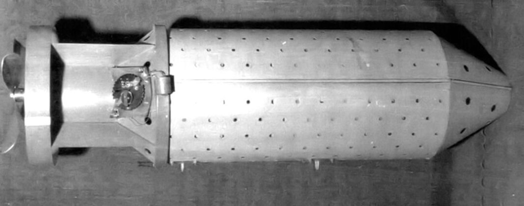 Proiectul X-Ray: planul american de a incendia Japonia cu „bombe cu lilieci”