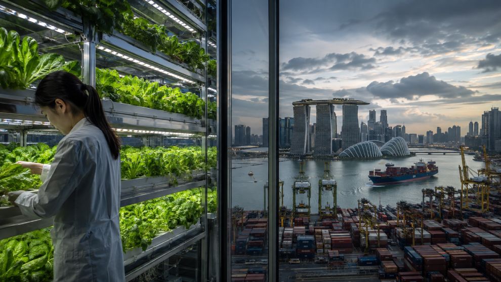 De ce n-a reușit proiectul Singapore de a-și produce singur hrana, cum a reușit cel privind asigurarea apei?